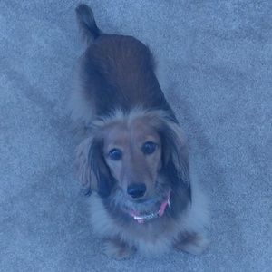 Meet your Posher, Glenn